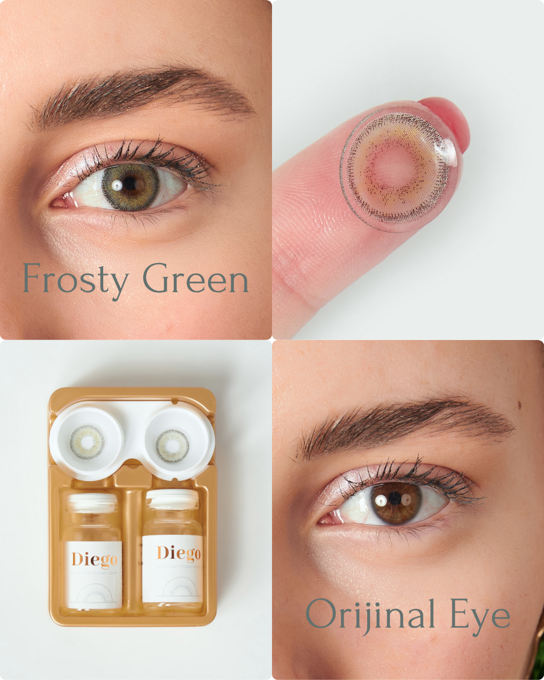 Frosty Green Yıllık Renkli Lens