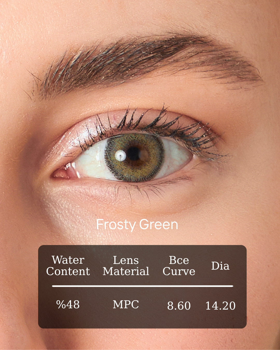 Frosty Green Yıllık Renkli Lens