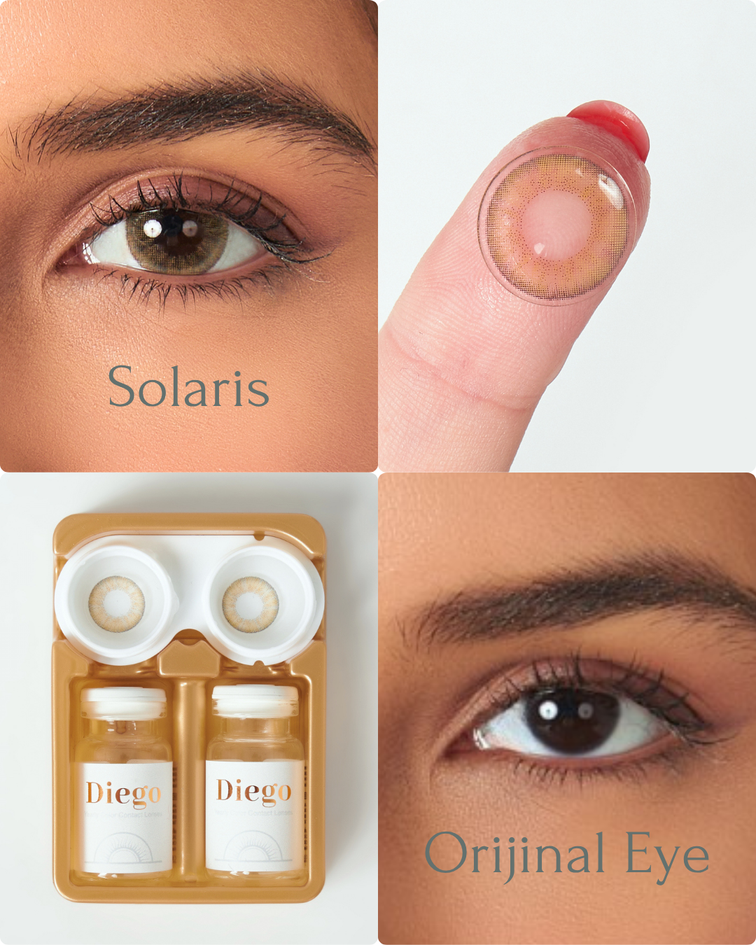 Diego Solaris Yearly Color Lens Plano (0,00)