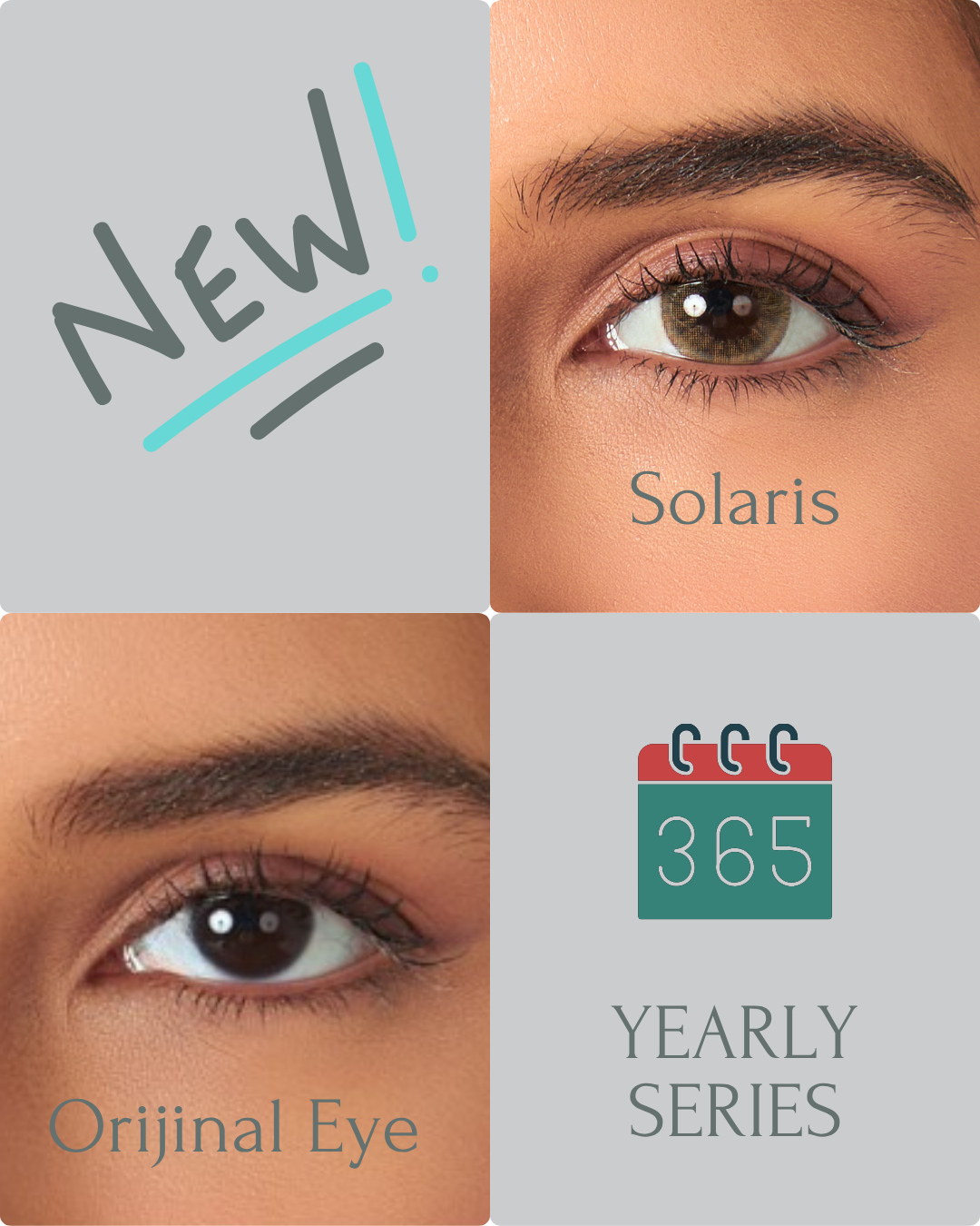 Diego Solaris Yearly Color Lens Plano (0,00)