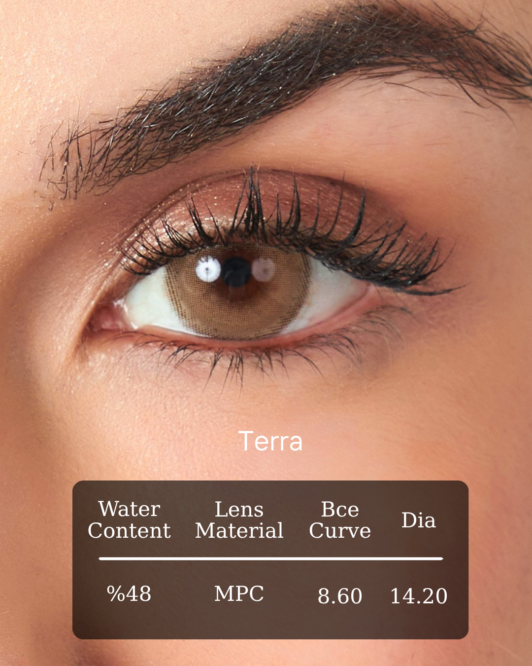 Terra Color Contact Lenses Plano (0,00)