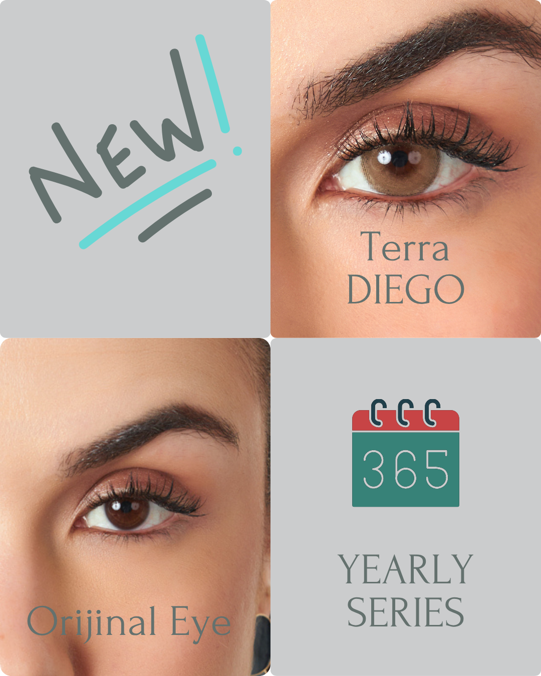 Terra Color Contact Lenses Plano (0,00)