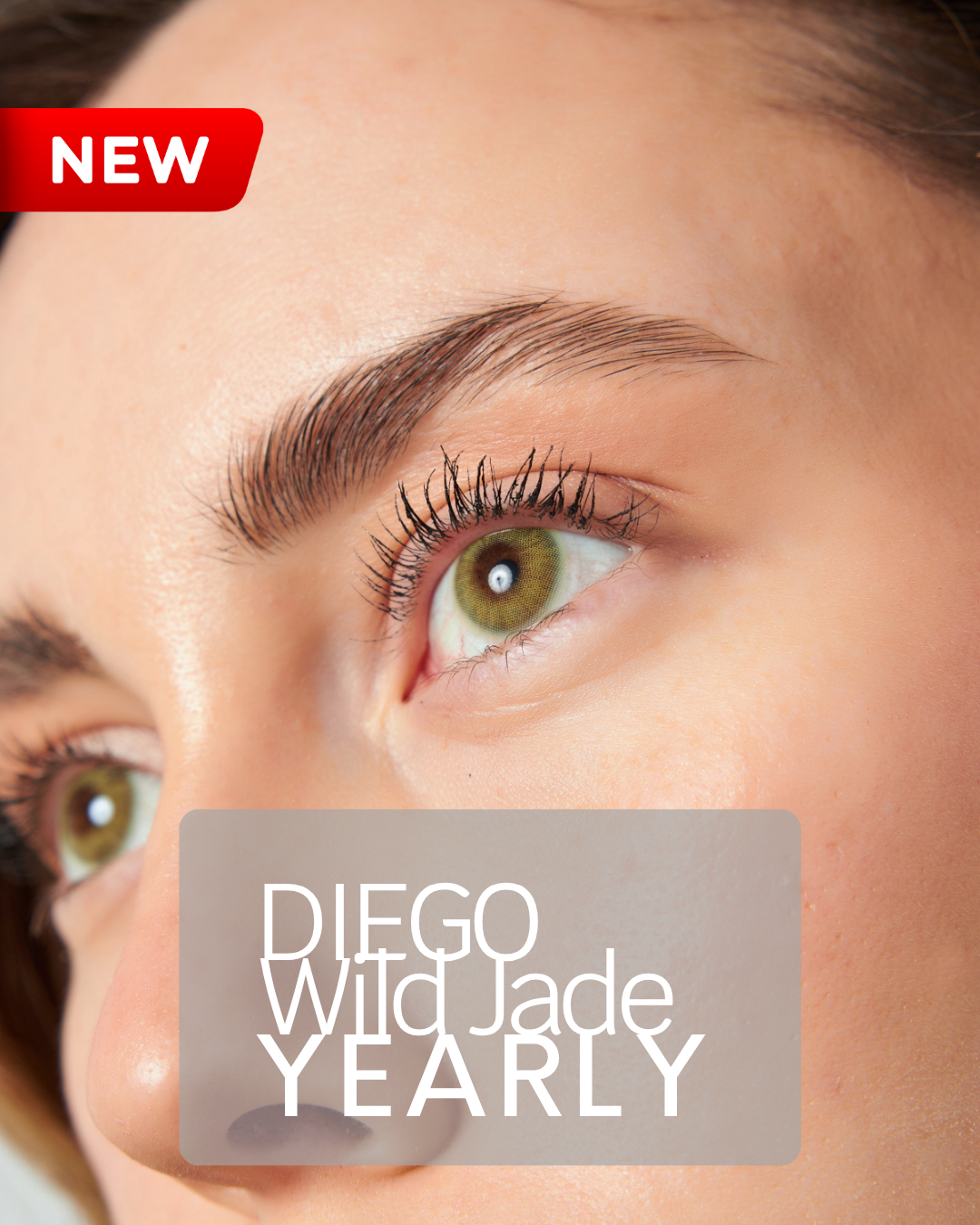Diego Wild Jade Yearly Color Lens Plano (0,00)
