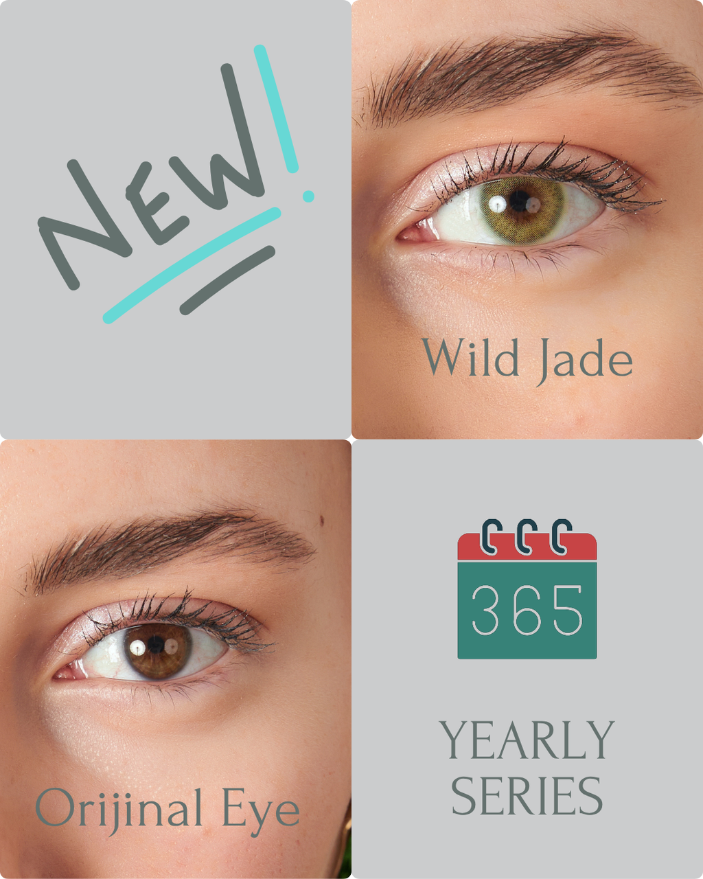 Diego Wild Jade Yearly Color Lens Plano (0,00)